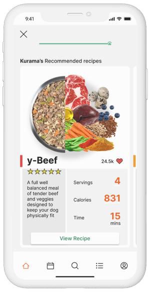 Hi-fi — y-Beef recipe