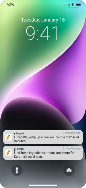 Push notifications concept